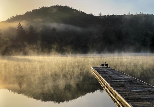 /Images/uploads/Sonoma County Regional Parks Foundation/springlake50/entries/28900thumb.jpg